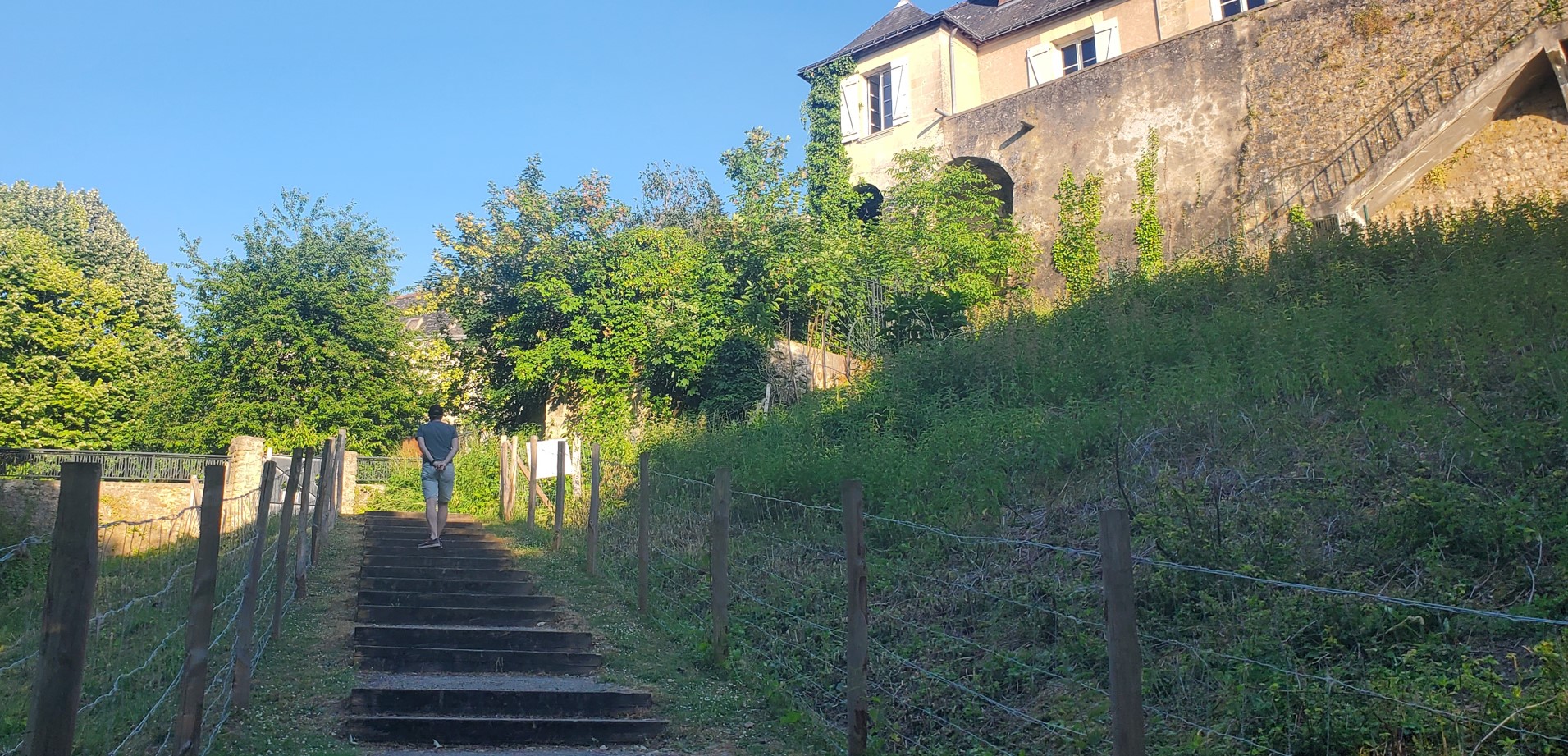 Running through the Loire Valley vineyards